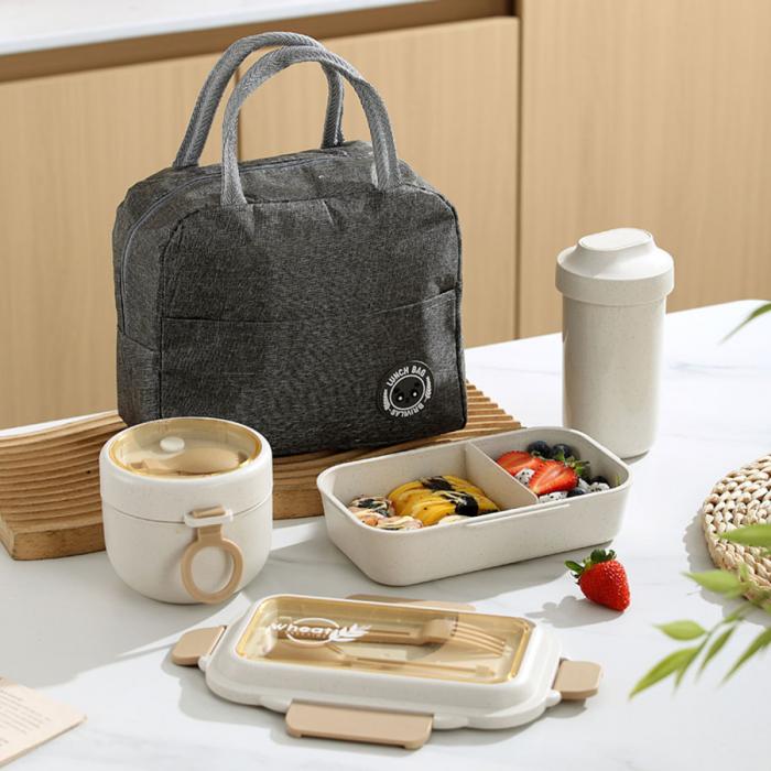 簡麥便當盒HC6916M/套